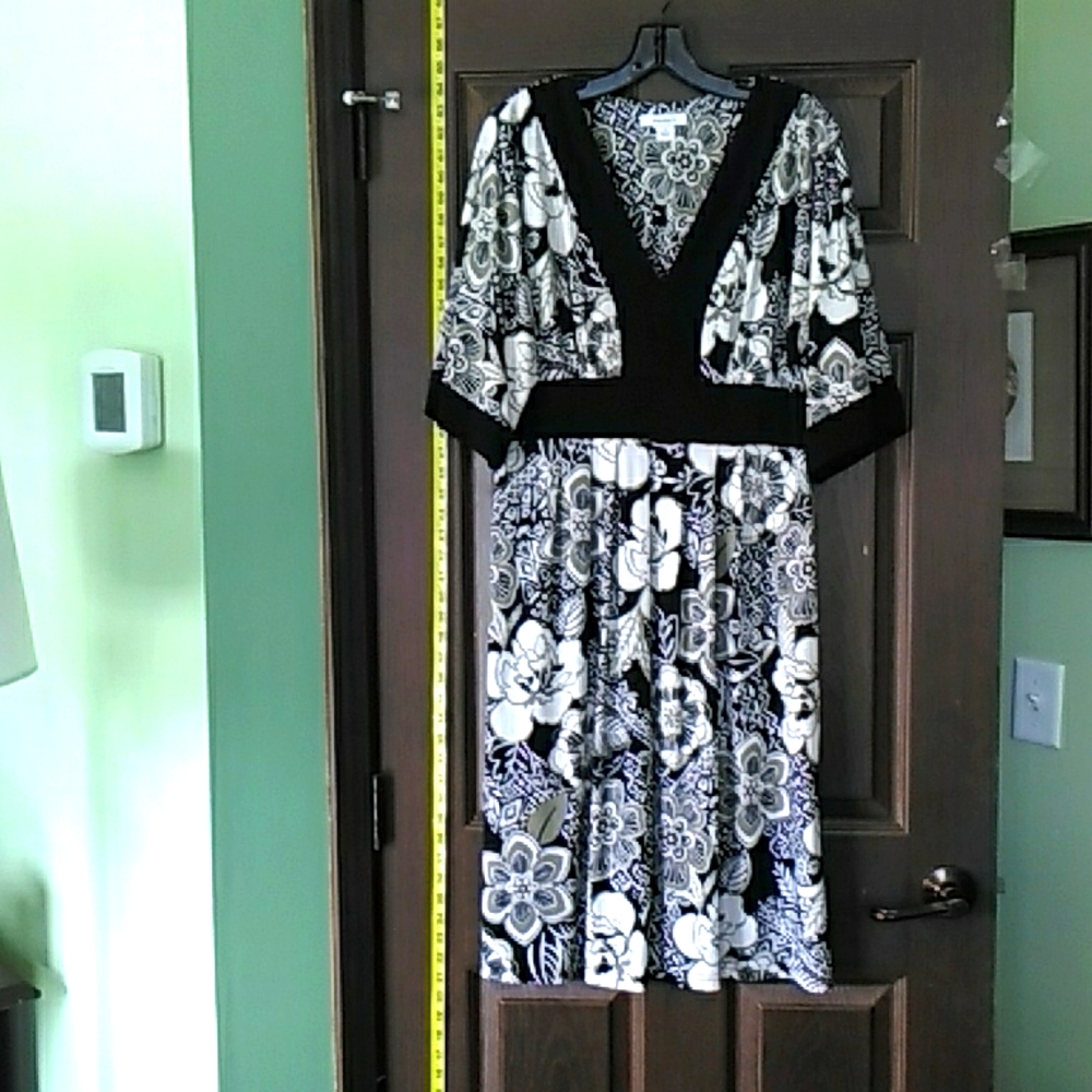 Dressbarn black\tan dress